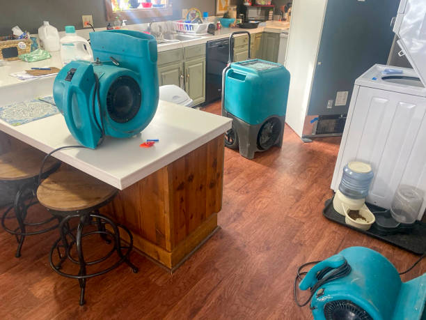 Best Water damage restoration insurance claims  in Corcoran, MN
