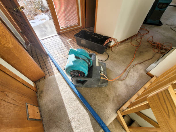 Best Professional water damage repair  in Corcoran, MN