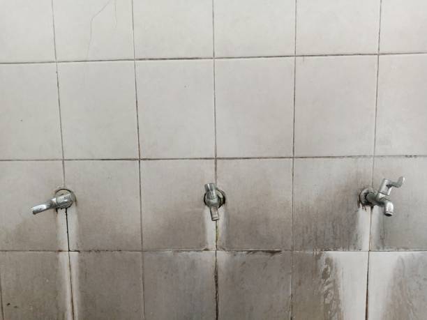 Sewage cleanup and water damage restoration in MN