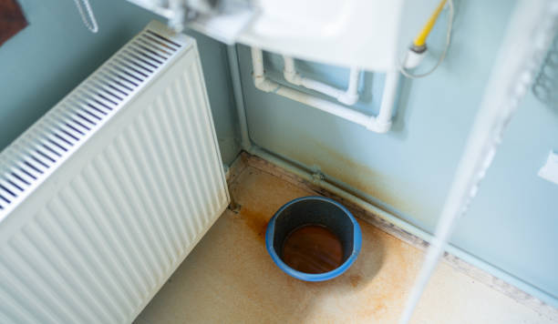 Best Ceiling water damage repair  in Corcoran, MN