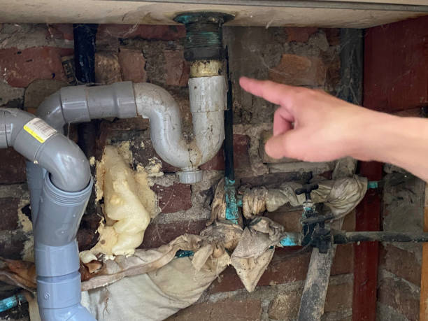 Best Water damage cleanup near me  in Corcoran, MN