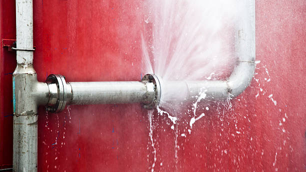 Best Carpet water damage restoration  in Corcoran, MN